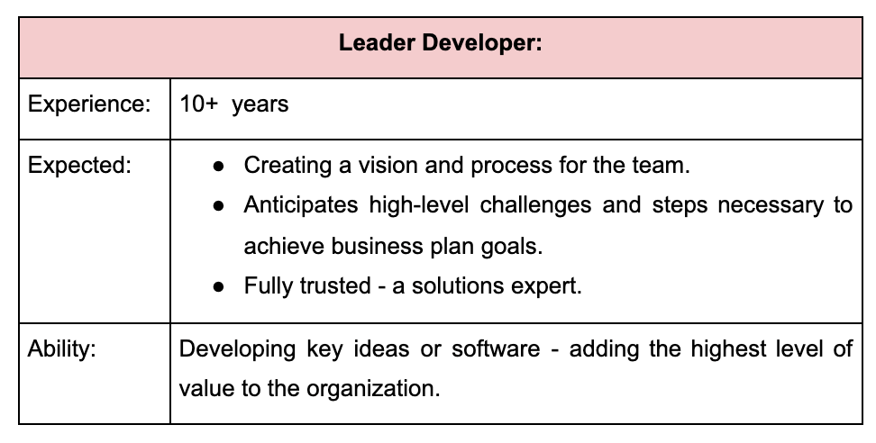leader developer needs