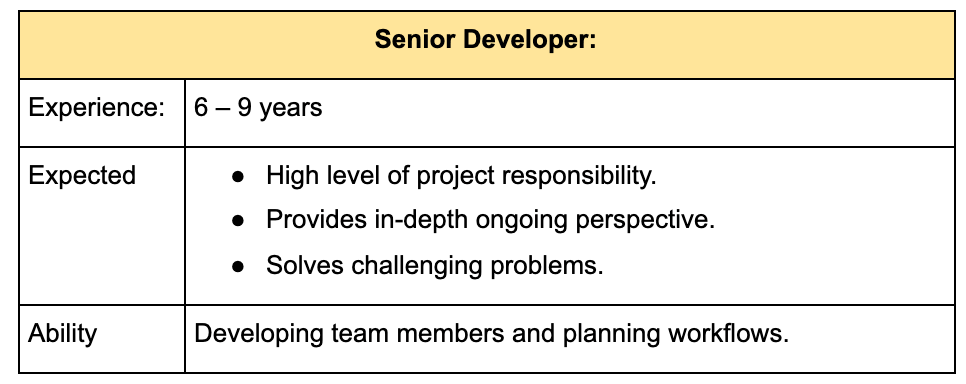 senior level developer