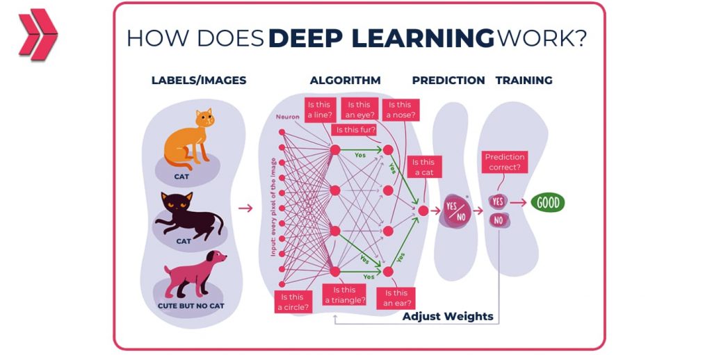 How Does Deep Learning Work