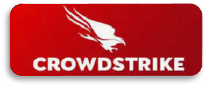 cybersecurity logo crowdstrike